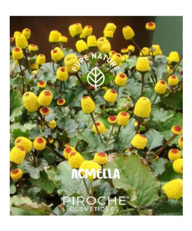 Piroche Cosmetiques Facial serum for men energy 50 ml - Buy Online on GoSupps.com