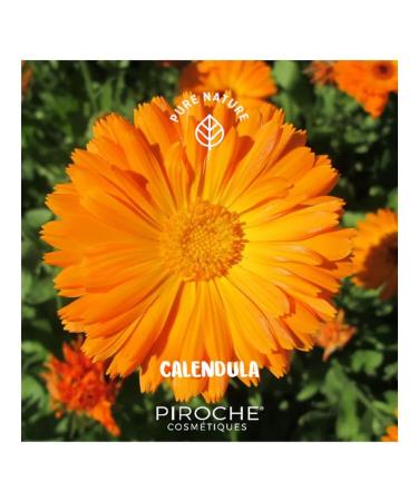 Piroche Cosmetiques Road set of cosmetics for the face 75+100+75 ml - Buy Online on GoSupps.com