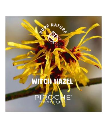 Piroche Cosmetiques Road set of cosmetics for the face 75+100+75 ml - Buy Online on GoSupps.com