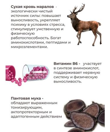 Biostimul Pantta Maral Kapsules for the joints saberhway saber - Buy Online on GoSupps.com