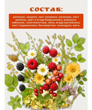 Monastery herbs Herbal tea to reduce cholesterol - collection 2 pcs - Buy Online on GoSupps.com