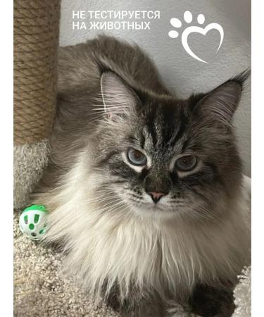 Repharm Degtyarev Sulsen shampoo against dandruff 500 ml - Buy Online on GoSupps.com