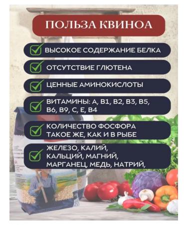 New Kuban Product Kinoa Krupa White 3 kg 600 grams - Buy Online on GoSupps.com