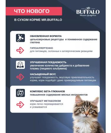 Mr BUFFALO Cat for cats dry with salmon 10 kg Mr. Buffalo - Buy Online on GoSupps.com