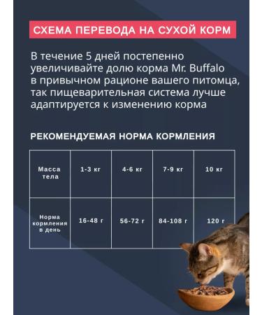Mr BUFFALO Cat for cats dry with salmon 10 kg Mr. Buffalo - Buy Online on GoSupps.com