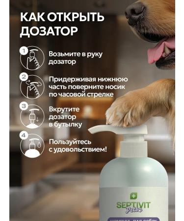 SEPTIVIT CHIMPOT for dogs with chlorhexidine Pets 1 liter - Buy Online on GoSupps.com