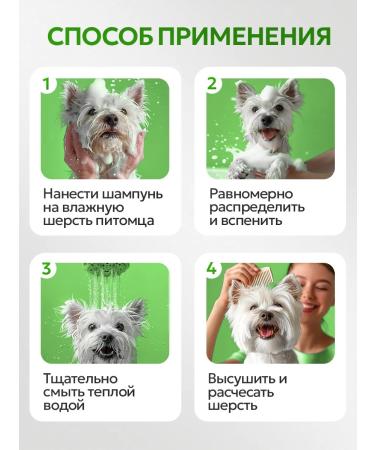 SEPTIVIT CHIMPOT for dogs with chlorhexidine Pets 1 liter - Buy Online on GoSupps.com