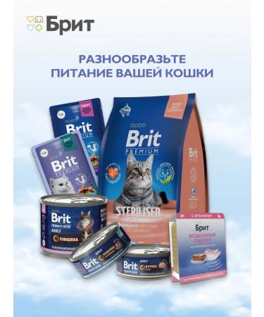 Brit Wet feed for kittens veal paste 100 g 4 pcs - Buy Online on GoSupps.com