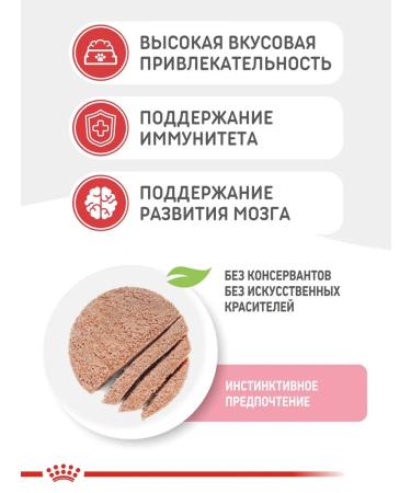 ROYAL CANIN Cat food humid Kitten 85 g paste 12pc - Buy Online on GoSupps.com