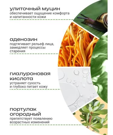 MIZON Face cream with a sliding snail extract - Buy Online on GoSupps.com