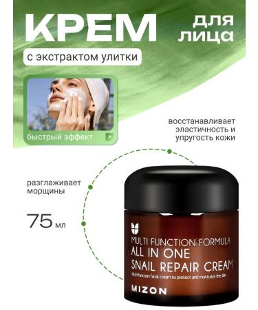 MIZON Cream with mucin of a snail anti -aging