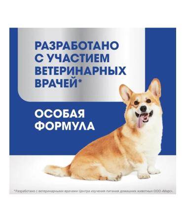 PERFECT FIT A treat for maintaining the immunity of dogs 90g 12pcs - Buy Online on GoSupps.com