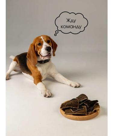 Hashtag Beef a beef treat for dogs 500 grams - Buy Online on GoSupps.com