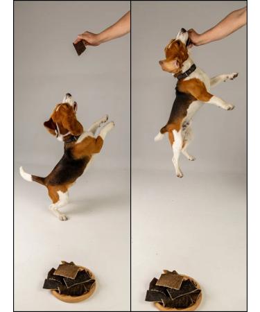 Hashtag Beef a beef treat for dogs 500 grams - Buy Online on GoSupps.com