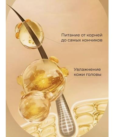 Lolocandy Shampoo and hair balm professional - Buy Online on GoSupps.com