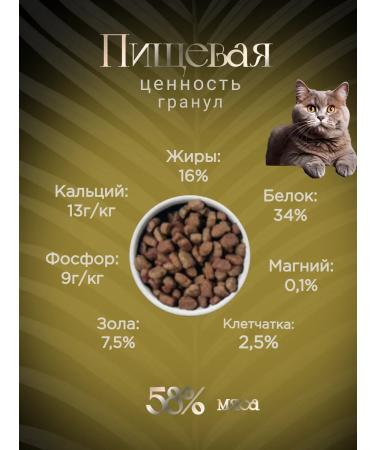 LiveRa Dry food for kittens Kitten 10 kg - Buy Online on GoSupps.com