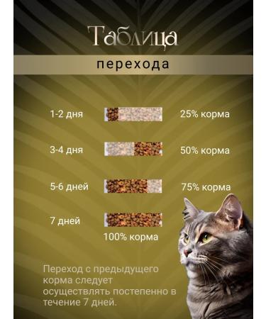 LiveRa Dry food for kittens Kitten 10 kg - Buy Online on GoSupps.com