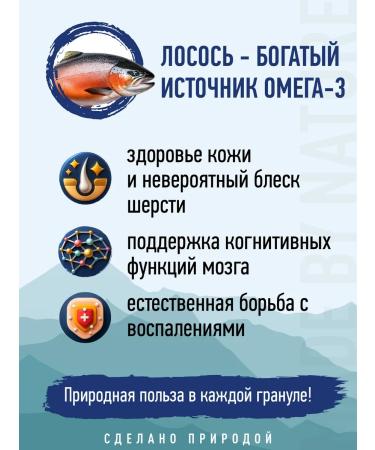 Prime Wild food for dogs and jester puppies on a salmon 2kg - Buy Online on GoSupps.com