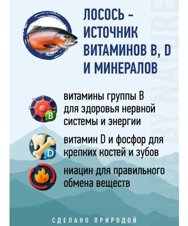 Prime Wild food for dogs and jester puppies on a salmon 2kg - Buy Online on GoSupps.com