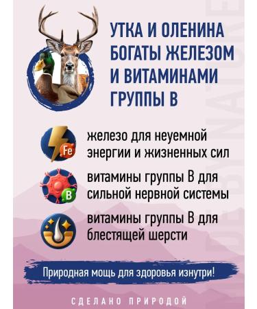 Prime Wild food for cats and kittens Bezranovaya on duck 2kg - Buy Online on GoSupps.com