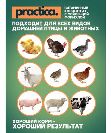 pracrica Abyiotonik vitamins for chickens and other animals 100 ml (2 pcs) - Buy Online on GoSupps.com