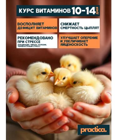 pracrica Abyiotonik vitamins for chickens and other animals 200 ml (4 pcs) - Buy Online on GoSupps.com