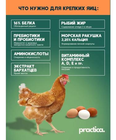 pracrica Abyiotonik vitamins for chickens and other animals 200 ml (4 pcs) - Buy Online on GoSupps.com