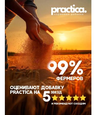 pracrica Abyiotonik vitamins for chickens and other animals 200 ml (4 pcs) - Buy Online on GoSupps.com