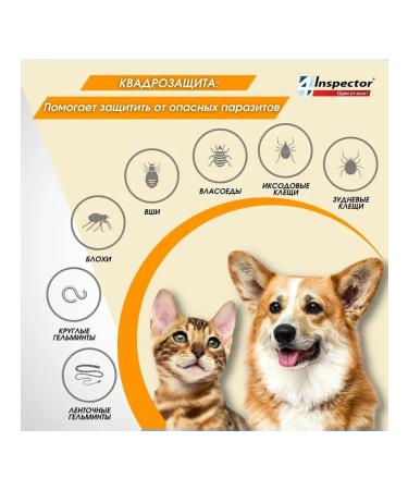 inspector Tablets from ticks of slate of worms Quadro 0.5-2 kg - Buy Online on GoSupps.com