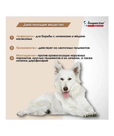 inspector Tablets from the ticks of the Blocks of the Quadro more than 16 kg - Buy Online on GoSupps.com