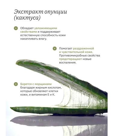 Whamisa Cactus Magic Serum Contract Constructure 32 ml - Buy Online on GoSupps.com