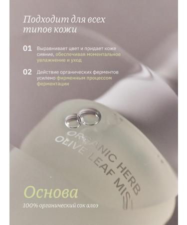 Whamisa Facial spray with olive leaves extract 100 ml - Buy Online on GoSupps.com