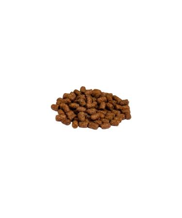 Profifeed Cat food exquisite menu turkey 10 kg - Buy Online on GoSupps.com