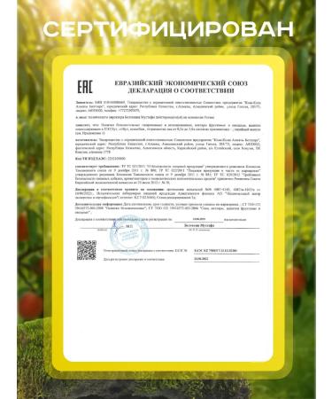 Fusetea Cold tea Fuse Tea (Fusti) with taste Lemon 1l - Buy Online on GoSupps.com