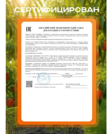 Fusetea Cold tea Fuse Tea (Fusti) with a taste of peach 1l - Buy Online on GoSupps.com