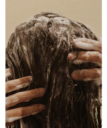 ROBLUE Hair shampoo Women's professional original - Buy Online on GoSupps.com