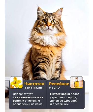 Biovax Long -haired cats shampoo 355 ml - Buy Online on GoSupps.com