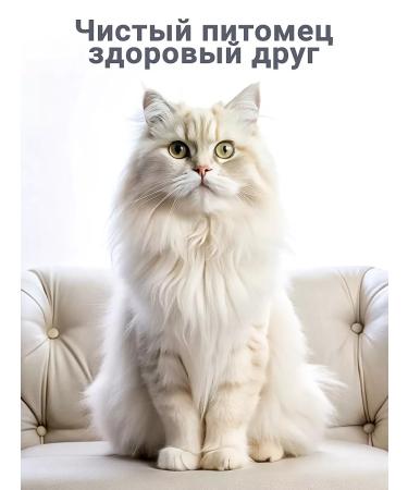 Biovax Long -haired cats shampoo 355 ml - Buy Online on GoSupps.com