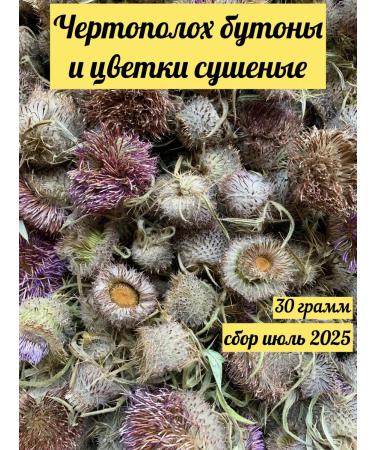 Tula Herbalist Thistle grass (buds and flowers) collection July 2025
