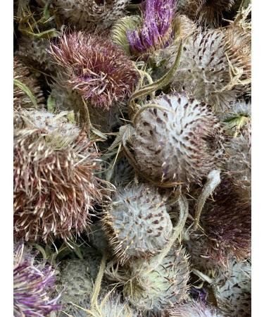 Tula Herbalist Thistle grass (buds and flowers) collection July 2025 - Buy Online on GoSupps.com