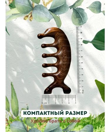 SATTI Gua Sha Body Massagers Massager to activate hair growth crest - Buy Online on GoSupps.com