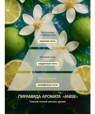 Tashe Hair shampoo with amino acids against dandruff - Buy Online on GoSupps.com