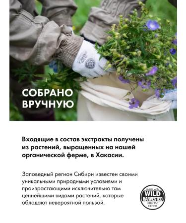 Natura Siberica Black soap for body and men's hair for a bath 500 ml - Buy Online on GoSupps.com