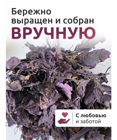 PROfit Group Basil is dried leaf red purple spice - Buy Online on GoSupps.com