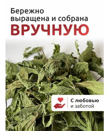 PROfit Group Dry mint for tea. Graduate collection for tea - Buy Online on GoSupps.com