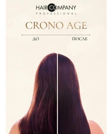 HAIR COMPANY PROFESSIONAL Balancing shampoo for dry hair and oily scalp - Buy Online on GoSupps.com