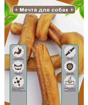 Dog treating Bully root beef delicious 500 g - Buy Online on GoSupps.com