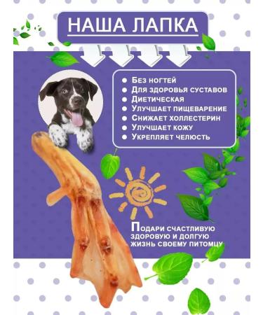 Candidate Master of Sports DoG Clot of paw duck for dogs delicious 5 pcs - Buy Online on GoSupps.com