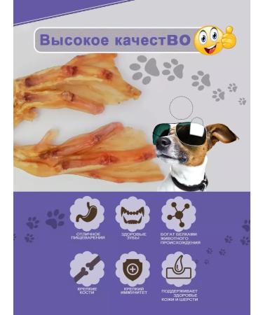 Candidate Master of Sports DoG Clot of paw duck for dogs delicious 5 pcs - Buy Online on GoSupps.com