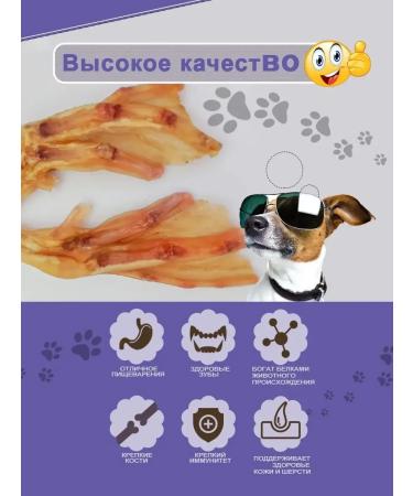 Candidate Master of Sports DoG Clotry of duck paws for dogs delicious 13 pcs - Buy Online on GoSupps.com